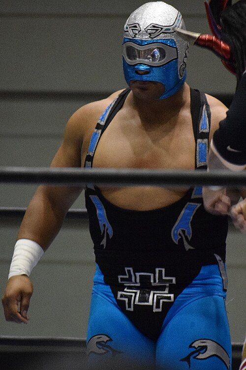 Stuka Jr. in January 2017