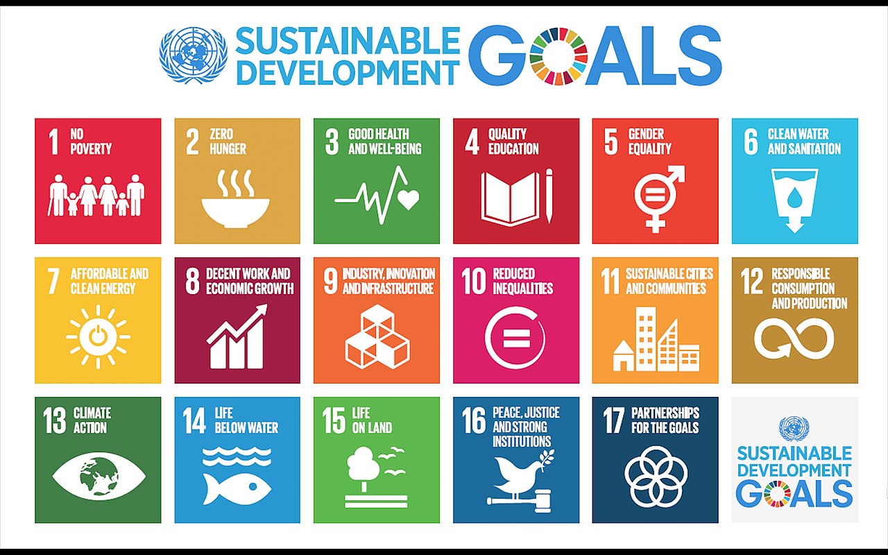 File:Sustainable Development Goals.jpg - Wikimedia Commons