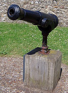 Swivel gun cannon