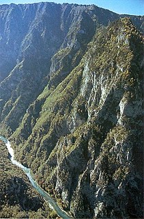 Tara River Canyon Canyon on the Tara River in Montenegro and Bosnia and Herzegovina