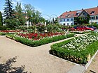 Rosengarten in der Gartenstadt Neu-Tempelhof