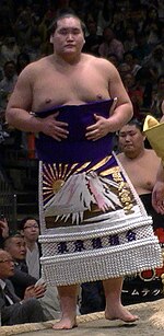 Terunofuji 2014.jpg