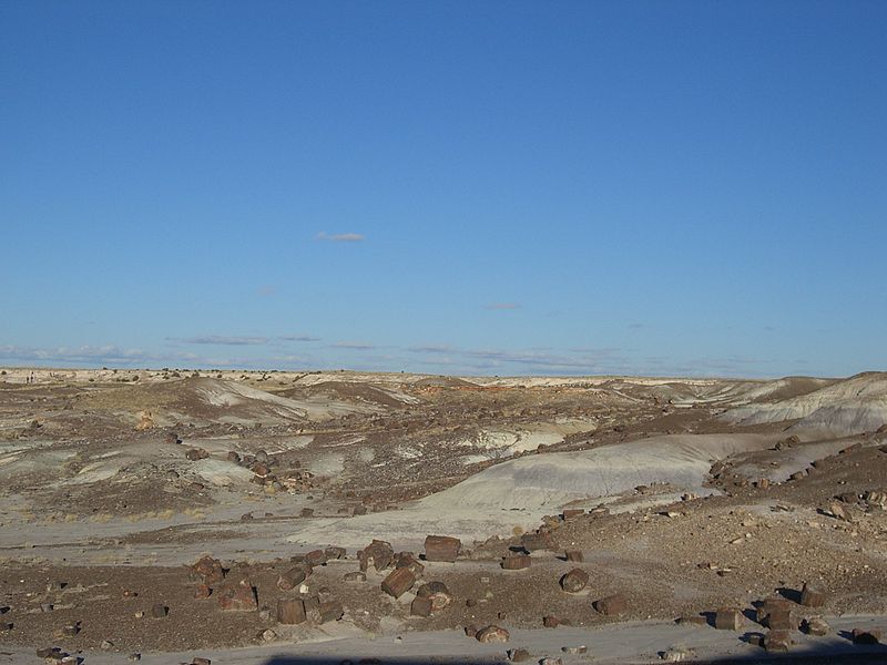 File:The Crystal Forest-Petrified Forest National Park-Arizona1250.JPG