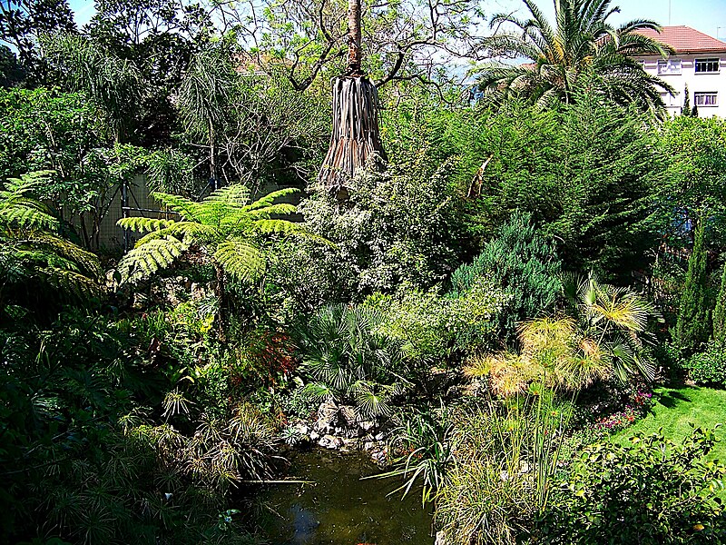 File:The Dell, Gibraltar Botanic Gardens 3.jpg