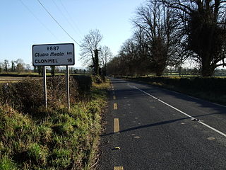 <span class="mw-page-title-main">R687 road (Ireland)</span> Road in Ireland