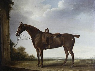 A Chestnut Hunter saddled for a Lady