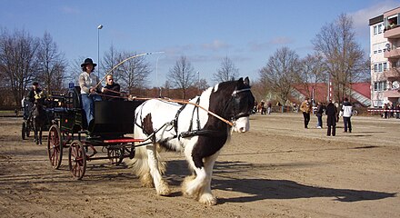 Voor een wagen