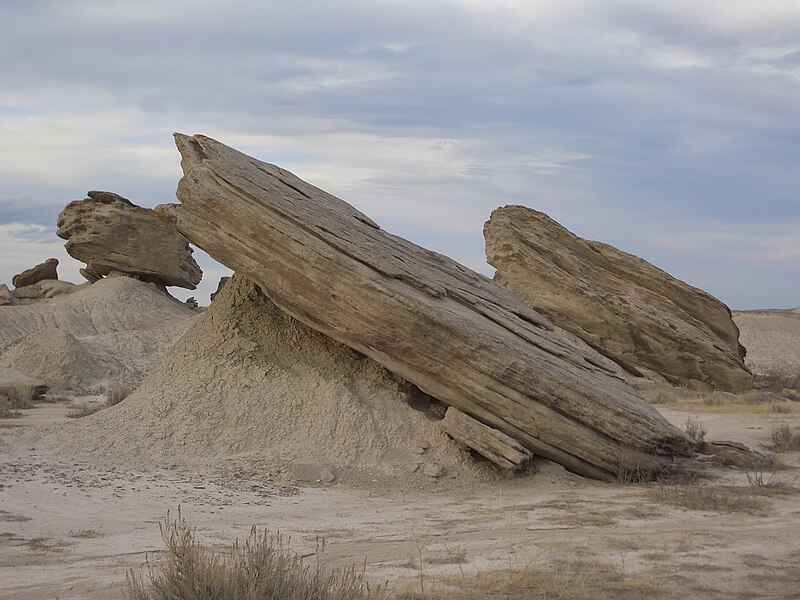 File:Toadstool Geologic Park, 13 March 2007, no. 7.jpg