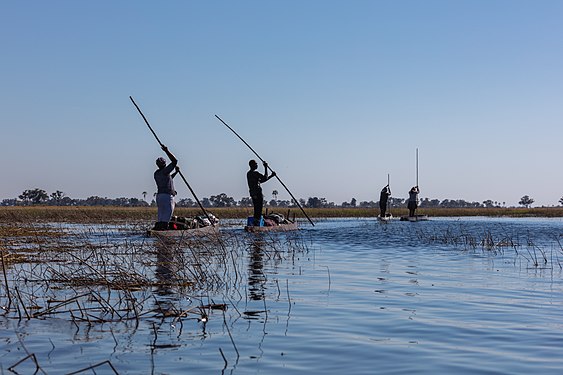 Crossing the Okavango Delta in makoro, Botswana