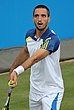 Troicki QC13-010 (9435784451).jpg