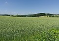 Tussen Grürmannsheide en Schwerte, panorama foto5 2017-06-05 12.11.jpg