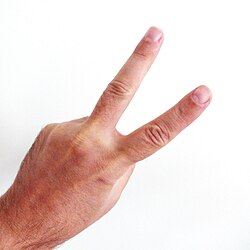 Two index fingers from the back side.JPG