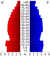 Bevolkingspiramide Polk County