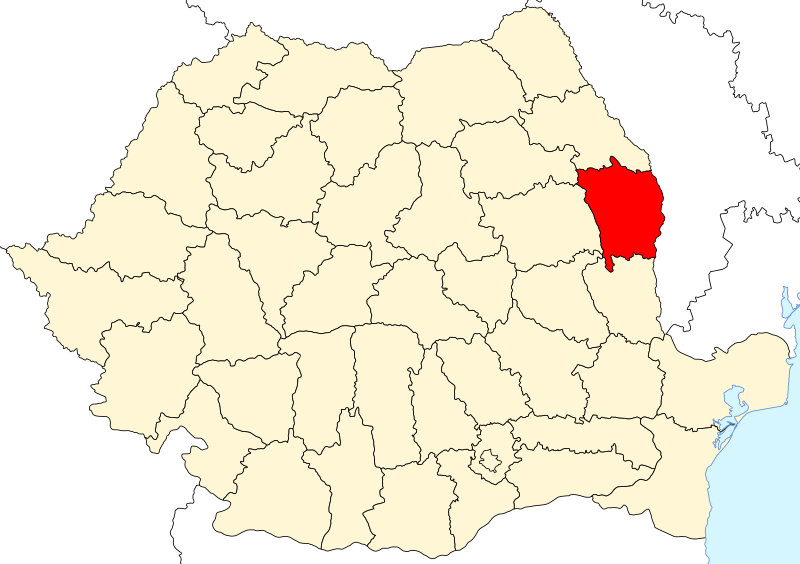 File:Vaslui County.svg