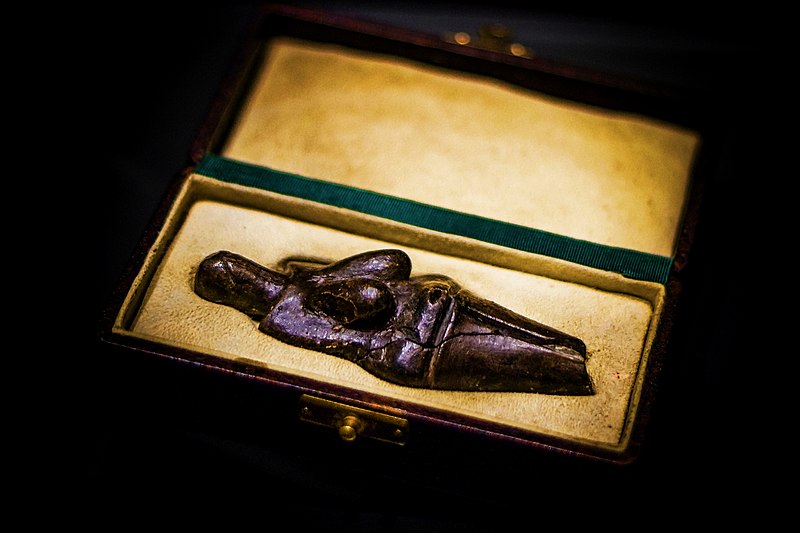 File:Venus of Dolni Vestonice 2014-09-30.jpg