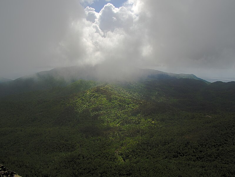 File:View of El Yunque from Britton Tower in Puerto Rico.jpg