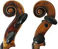 Violin-scrolls.jpg
