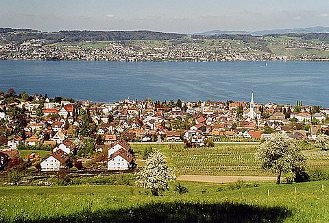 Wädenswil