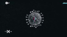 File: What are viruses (CC BY 4.0) (720p) .webm