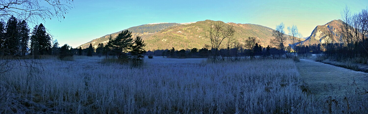 Panorama vom Weissenauer Beobachtungsturm