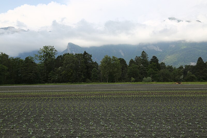 File:Wikiolo in Liechtenstein (600).jpg