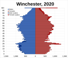 Population pyramid of the City of Winchester