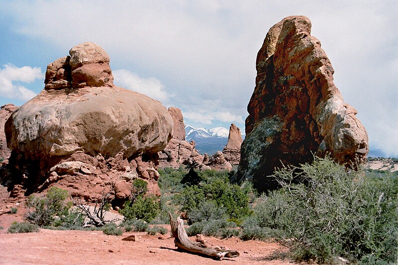 File:Windows Section Arches NP07.jpg