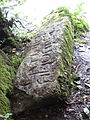 Worthyvale ogham stone closeup.jpg