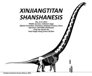 <i>Xinjiangtitan</i> Extinct genus of reptiles