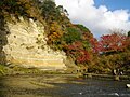 2015年1月31日 (土) 08:47時点における版のサムネイル