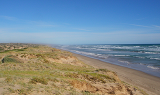 <span class="mw-page-title-main">Younghusband Peninsula</span> Place in South Australia