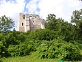 English: The Castle Polski: Zamek