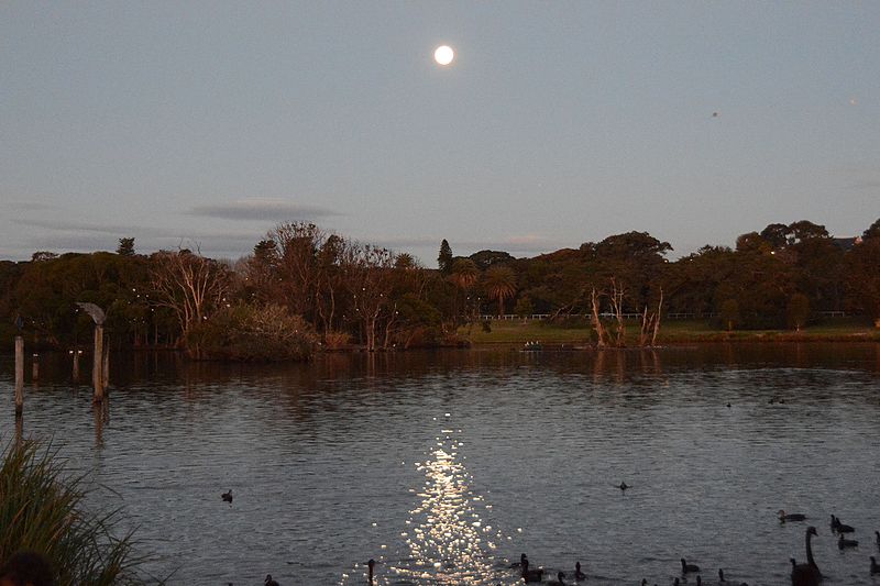 File:(1)moonrise Centennial Park 021.jpg