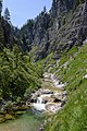 * Nomination The Ötscherbach in the Ötscher Canyon, nature park Ötscher-Tormäuer, Lower Austria --Uoaei1 07:27, 13 January 2015 (UTC) * Promotion Good quality. --Joydeep 09:15, 13 January 2015 (UTC)