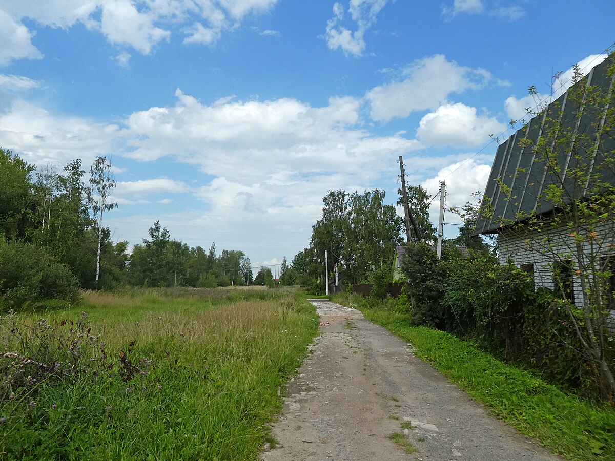 Железнодорожная улица (Горелово) — Википедия