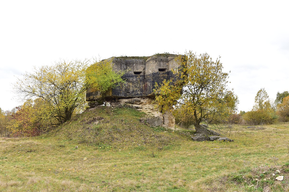 открыть файл дот фото 87