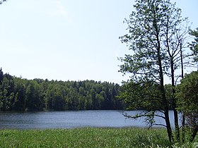 Озеро Глубокое, Демидовский район, Смоленская область