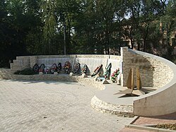 Suren sodan memorial (2009)