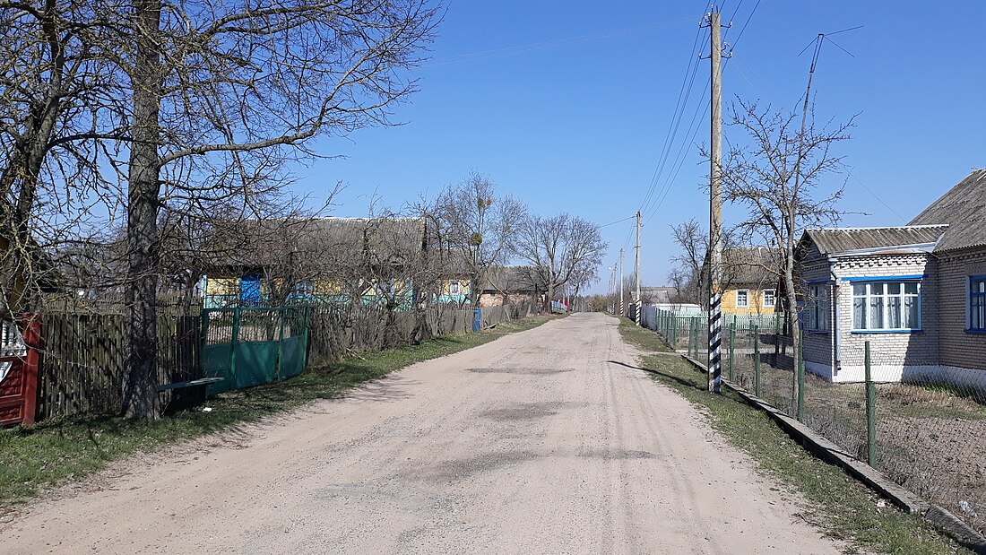 Суднікі (Мікалаеўшчынскі сельсавет)