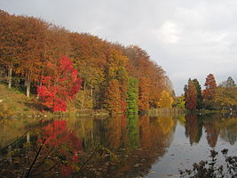 Domaine Solvay - Longue Queue pond in La Hulpe, Belgium.