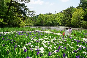 140517 Kobe Municipal Arboretum Japan02bs.jpg