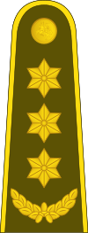 18-Lithuania Army-COL.svg