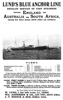 Blue Anchor Line advertisement, 1903 1903 Blue Anchor Line advertisement.png