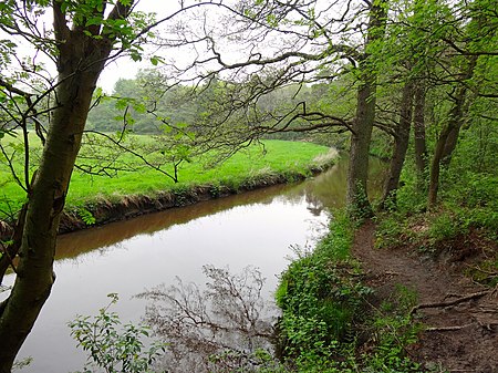 20140429 Drentsche Aa bij bruggetje ten-zuiden van Schipborg.jpg