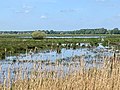 Oostpolder te Noordlaren