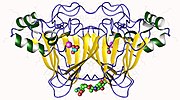 Thumbnail for Oxalate oxidase