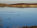 Bawdlun am Llyn Cyfynwy