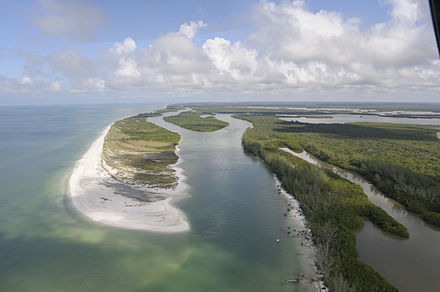 Aerial view of an island in Rookery Bay