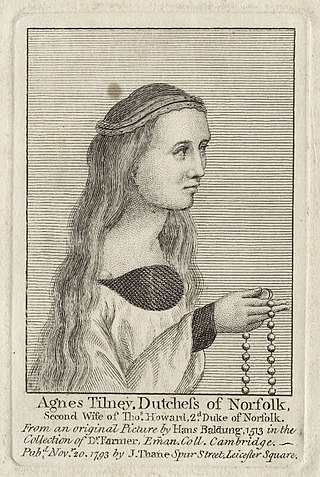 <span class="mw-page-title-main">Agnes Howard, Duchess of Norfolk</span>