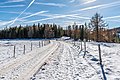 * Nomination Late autumn on the rural way leading to the "White Cross" in Seebachern, Albeck, Carinthia, Austria --Johann Jaritz 02:48, 4 December 2017 (UTC) * Promotion Good quality. PumpkinSky 02:55, 4 December 2017 (UTC)